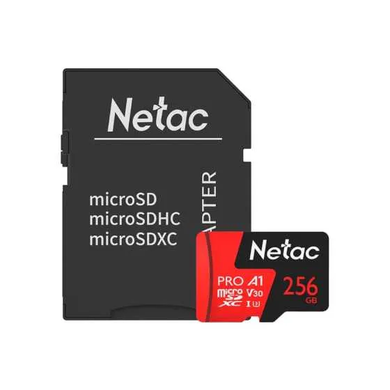 NT02P500PRO-256G-R